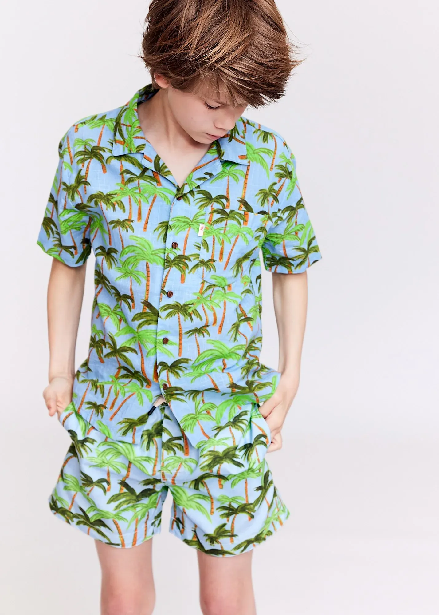 Hawaii Shirt Palmtrees