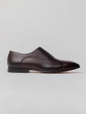 Maverick Toecap Oxford - Dark Brown